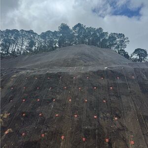 Meet your Posher, Andres